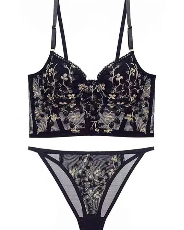 Embroidered Lace and Steel Bone Overlay French Lingerie Bra Set